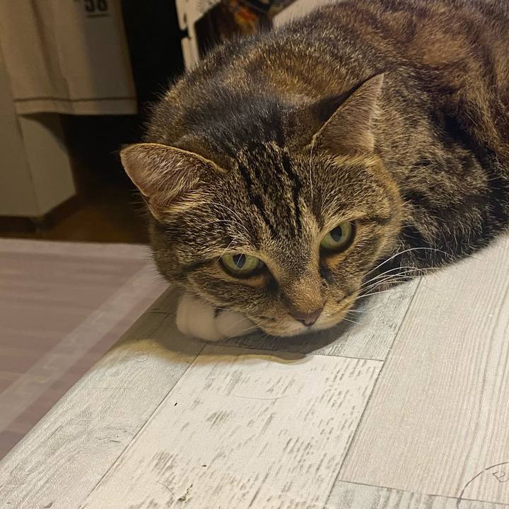 Fa4c9c2f 2409 4299 bb60 39bf06353cea 1627823014159