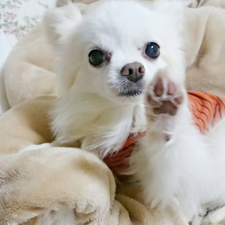 Fa4d0baa c5cf 4ec0 b4d3 dbc907b925b7 1508653873022