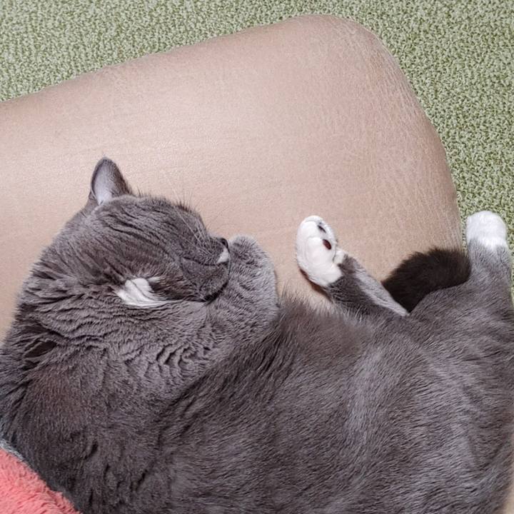 Fa4d25cc 0d82 44e9 8130 1115301a17bc 1679135561270