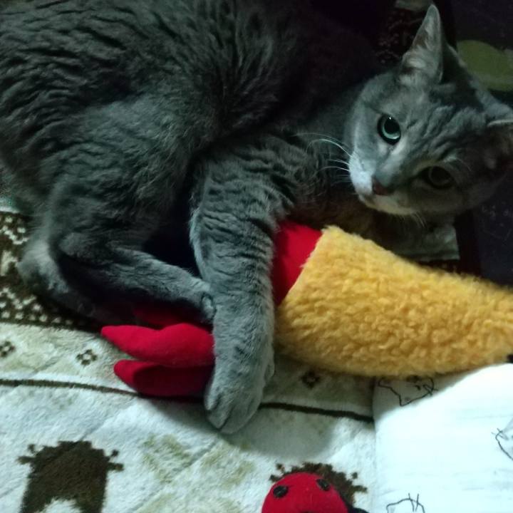 Fa4d8c30 de1f 4a74 a710 13c8f52dd838 1679657498981