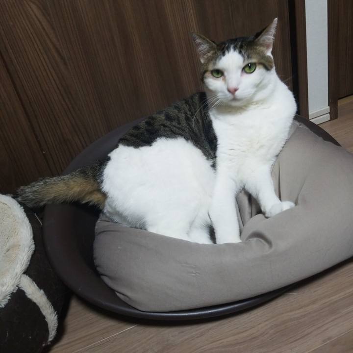 Fa4d907a 5e98 444e b810 82fb29d8144c 1573132593225