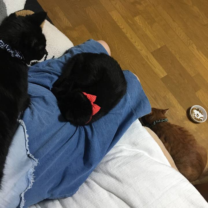 Fa4d92ec 77e2 4189 a3b6 d06dd008e84a 1551873637987