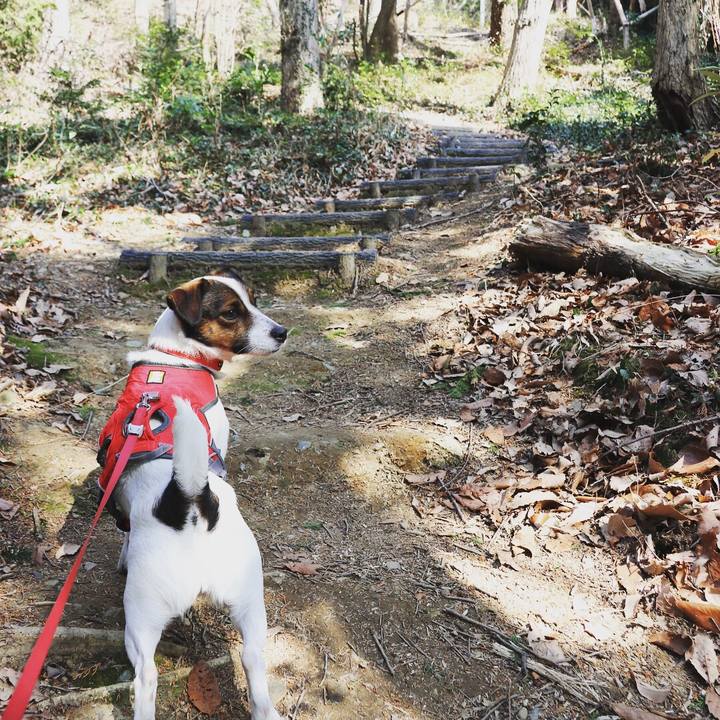 Fa4de03b b026 4734 9e2c e3000035e06b 1518237496046