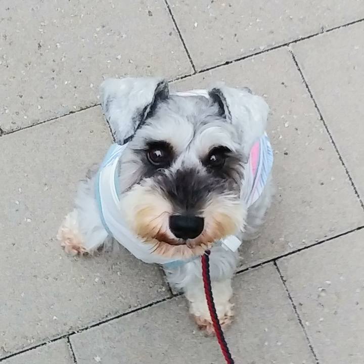 Fa4df5aa 5e13 4e1c 9273 83107ea954c0 1567742315903