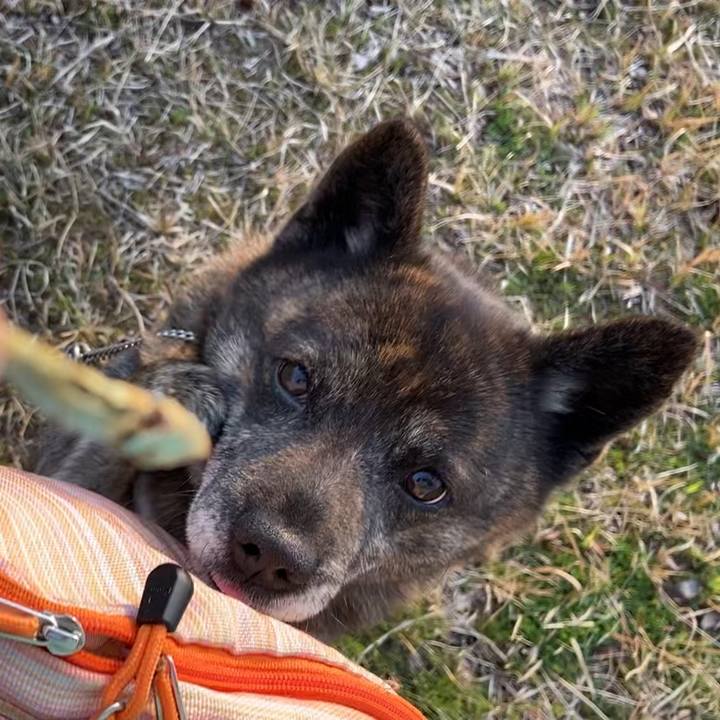 Fa4df89f 5901 44b9 9c18 f7c0a024b417 1586422736783