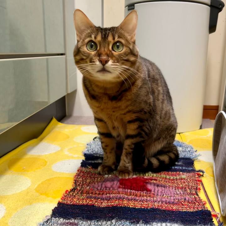 Fa4dfb33 32c5 416e ae79 c3f77c09cfcb 1679754882308