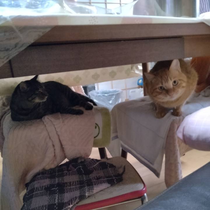 Fa4e0cb7 fe4a 4660 bdc7 e2002b8b253b 1663799568941