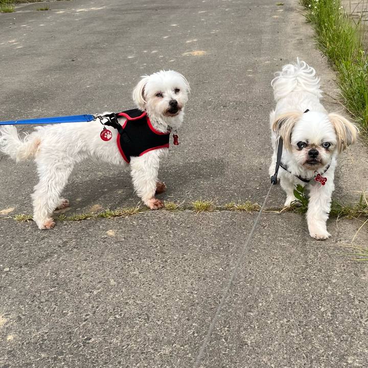 Fa4e12e2 b5b3 4ef1 b334 fb449dc1ed46 1685248558309