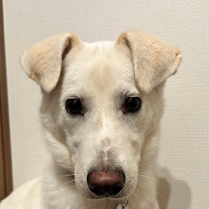 Fa4e2530 a478 4109 a175 3077337707cc 1674320120415