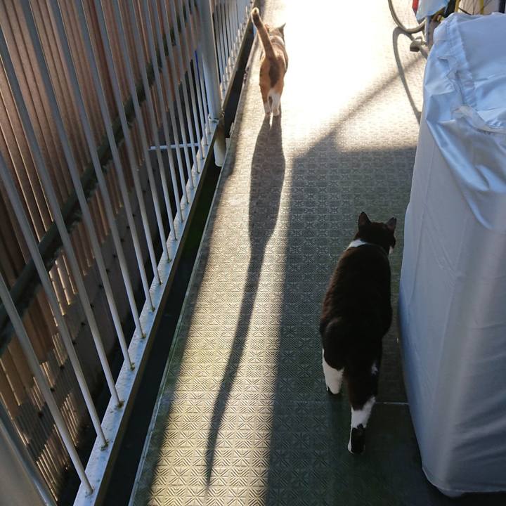 Fa4e2dec ce17 4d29 9efa bf8fdf6c97ca 1632090795439