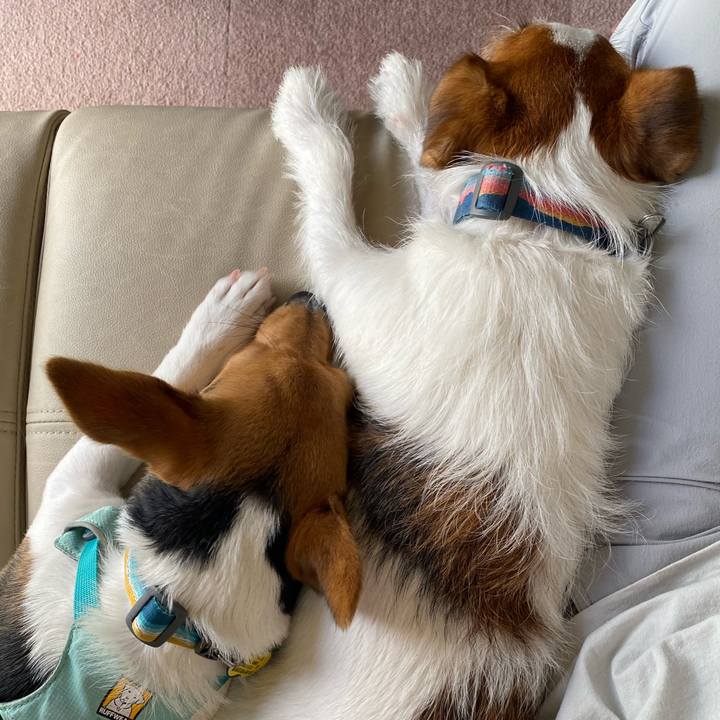 Fa4e4b42 dbb1 49ab 97cc 1dec285b94bb 1755403098488