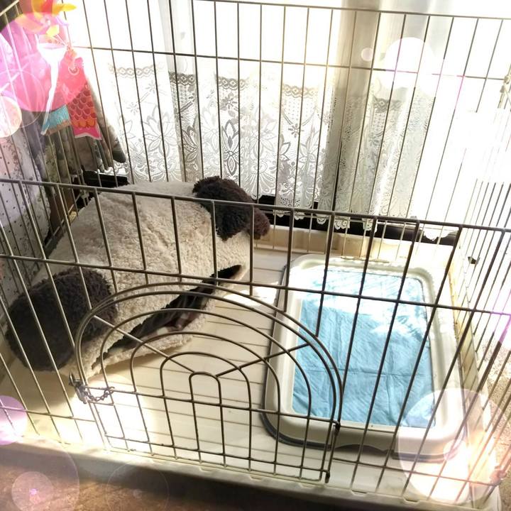 Fa4e5ca3 2b75 4630 8029 70261d07f5c6 1552975911121