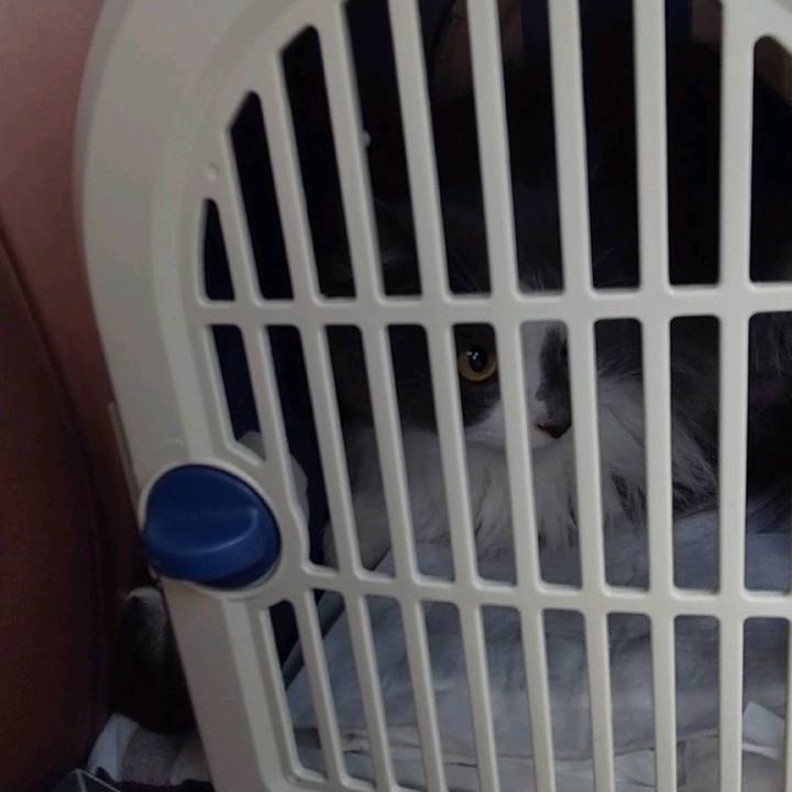 Fa4e8114 713e 4753 945a ce2894e9cc10 1649920512622