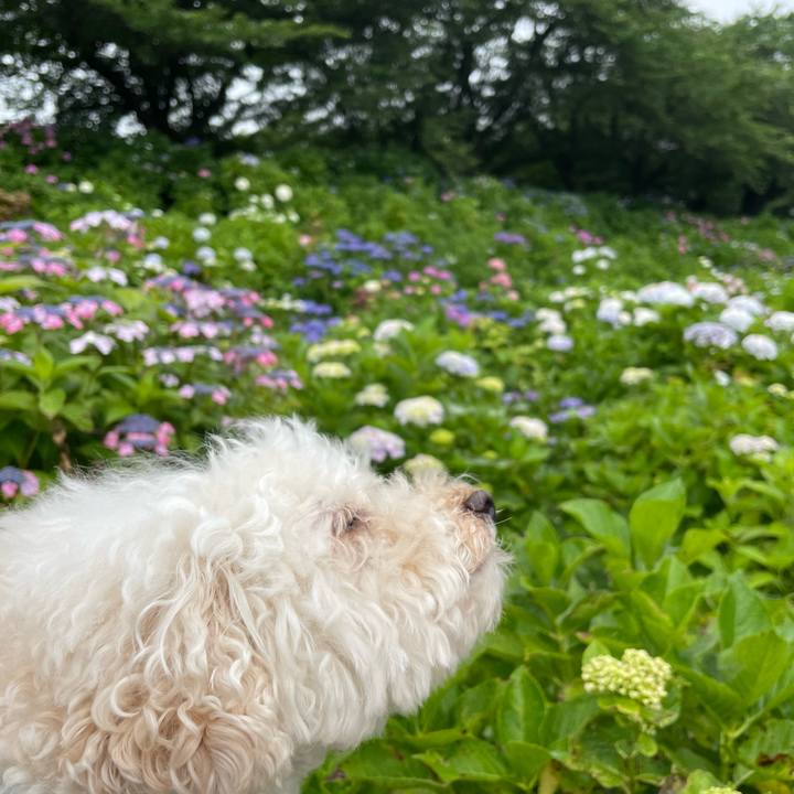 Fa4e9d48 bde1 4770 8e6c bced5a3a78a4 1759242318675