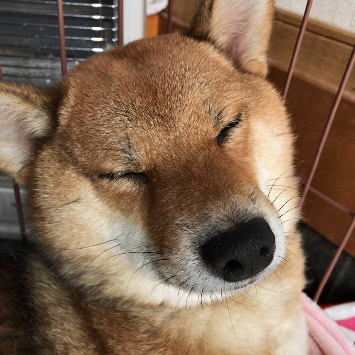 Fa4ec8a9 2efe 4f82 b704 f61e60417f6a 1522107964682