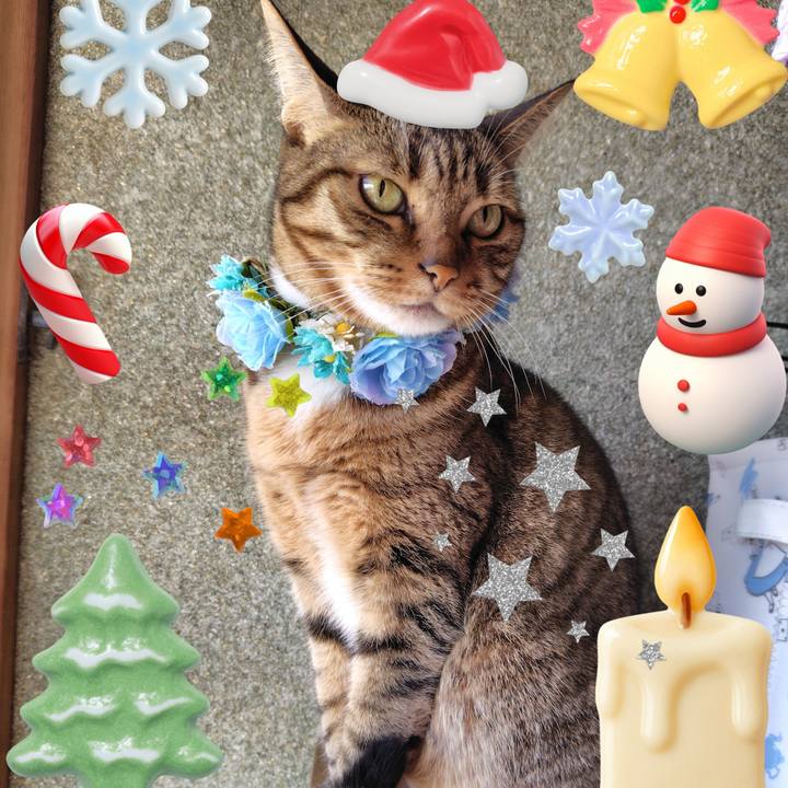 Fa4ed28f 11c0 4f6d 8d8f d43a5db6d808 1766206115163