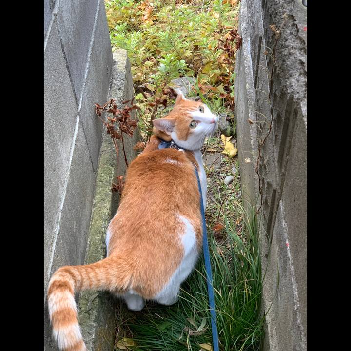 Fa4eeec1 a515 44ea 815d 2210d221a4ed 1574597201223