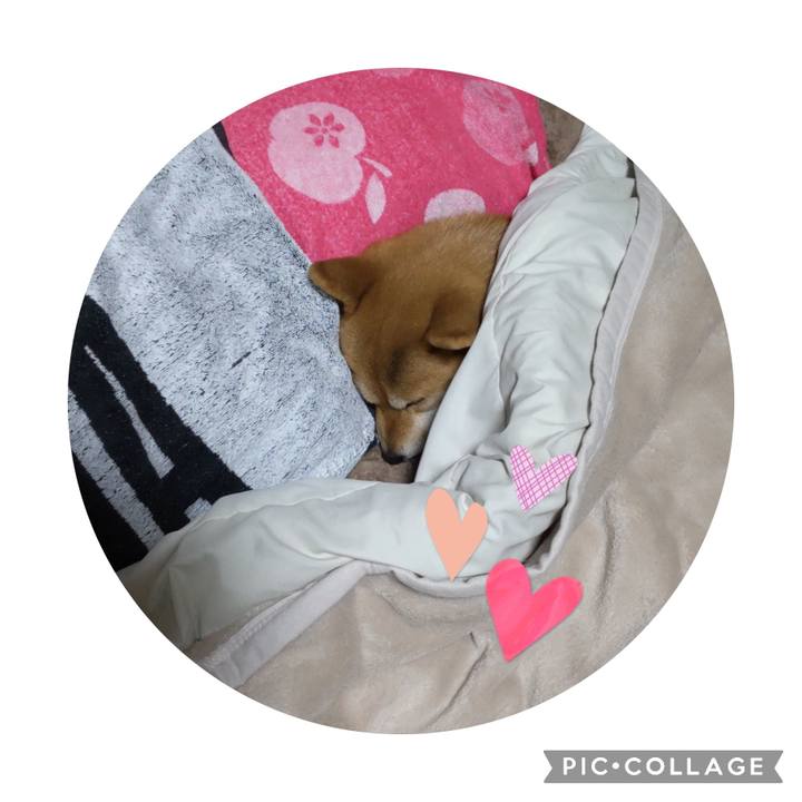 Fa4f0067 d72b 492c a517 db8599cbc5bf 1674180070950