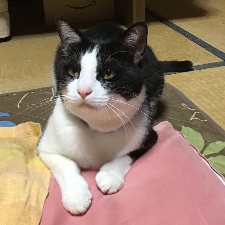 Fa4f0075 6e2e 44af a840 dd9a3370375e 1685101978451