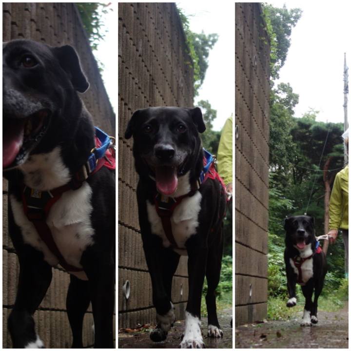 Fa4f2623 5229 4758 8429 67db7762bdc6 1665102104658