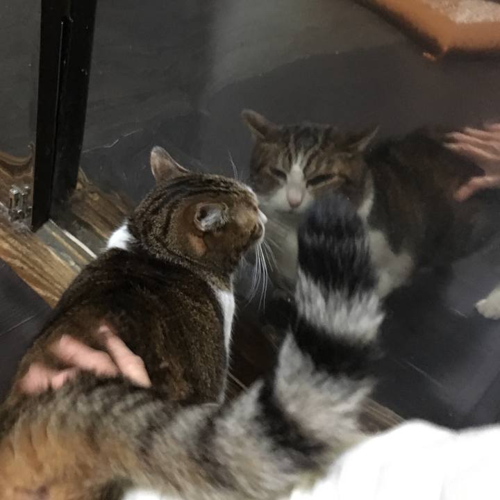 Fa4f3f70 0616 4403 b411 efb81e27b781 1545203287821