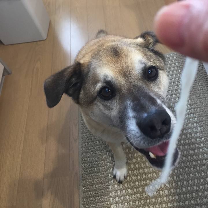 Fa4f5646 9b4b 4c9e ac1b d5f7d511681f 1528689514267