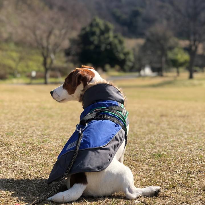 Fa4f7287 ccce 4804 8051 7a812e079d54 1550205333176