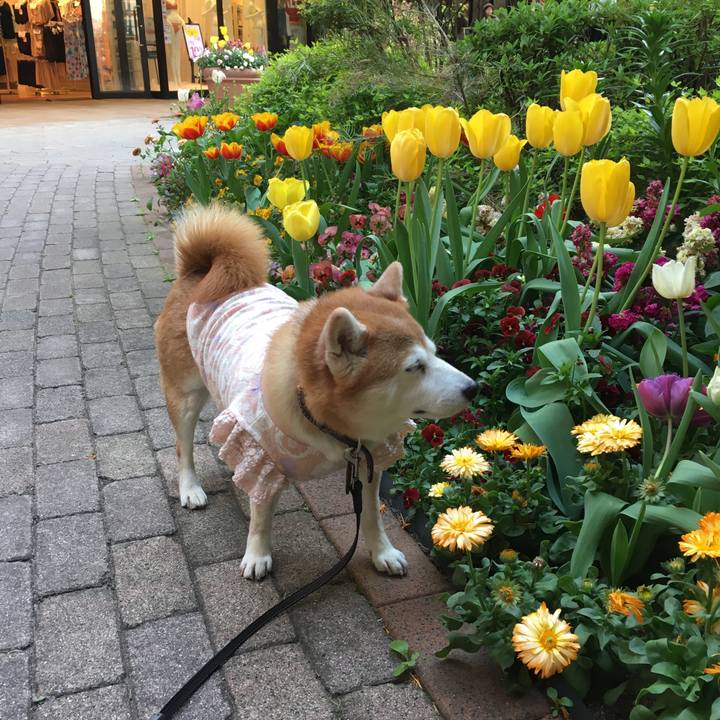 Fa4fe2ce a3c6 4e8b b059 359d8e9edd13 1523599277700