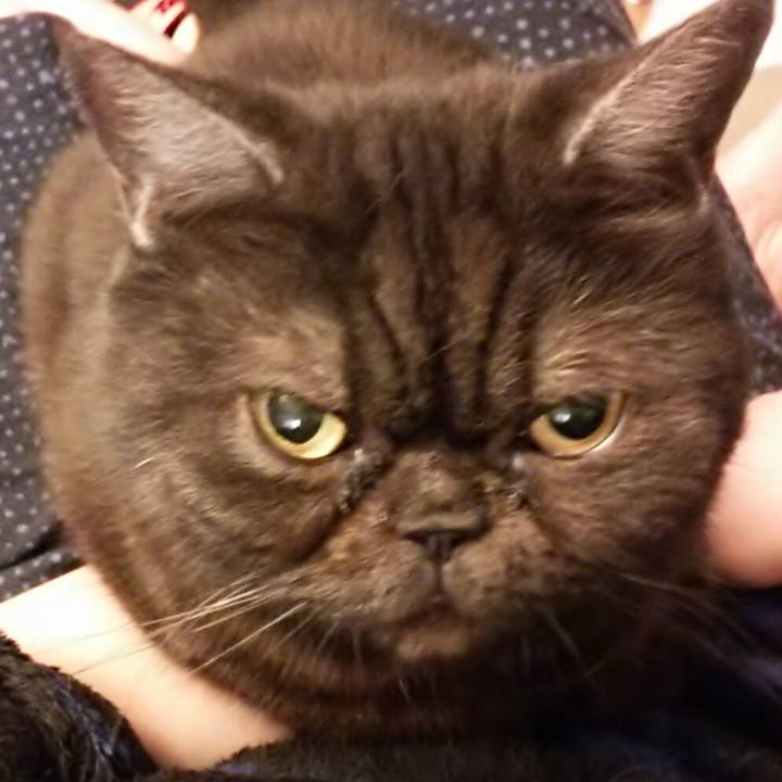 Fa5024d4 dec3 4103 b4ec 91fffd9c91be 1555830811809