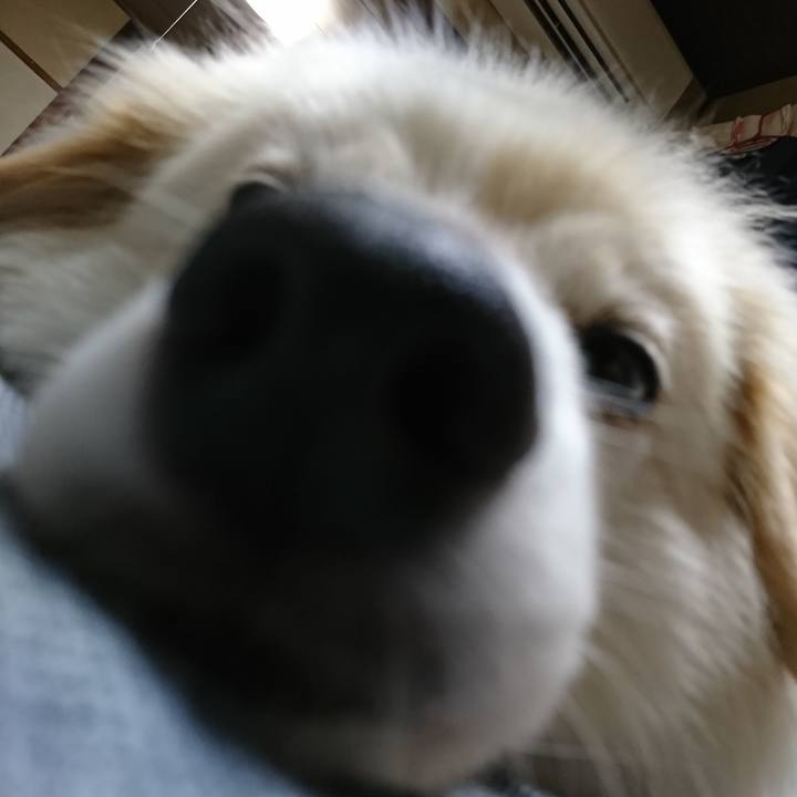 Fa50ae7a 3fba 4839 924f 4908bfbae410 1533813270107