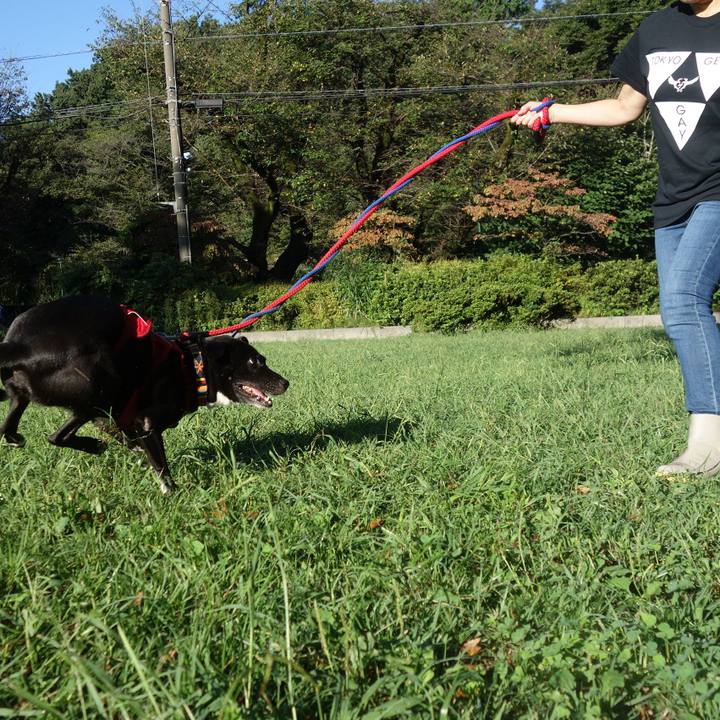 Fa50d5a2 7d10 46e7 b257 e868f73ab7e7 1601251376844