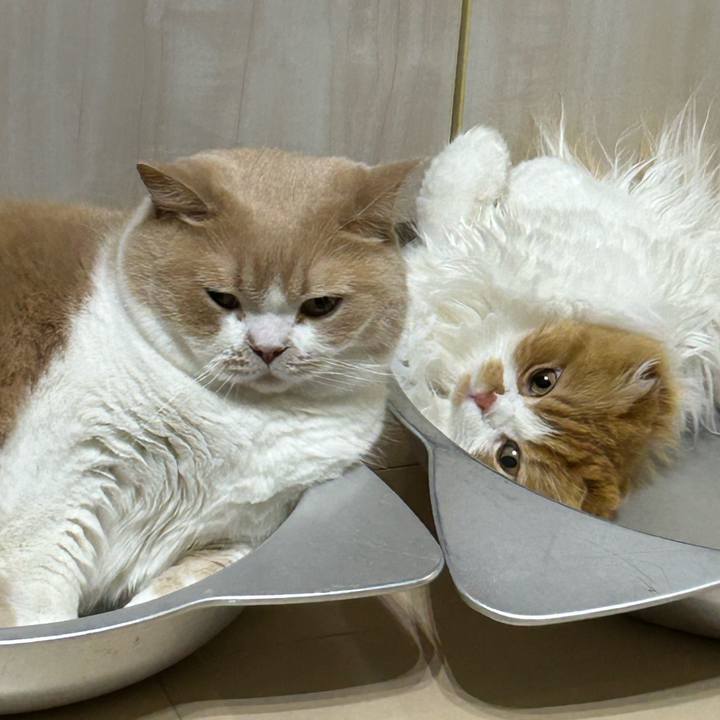 Fa50f15d d4ab 4677 8d79 1c8ce3807f83 1688361278664