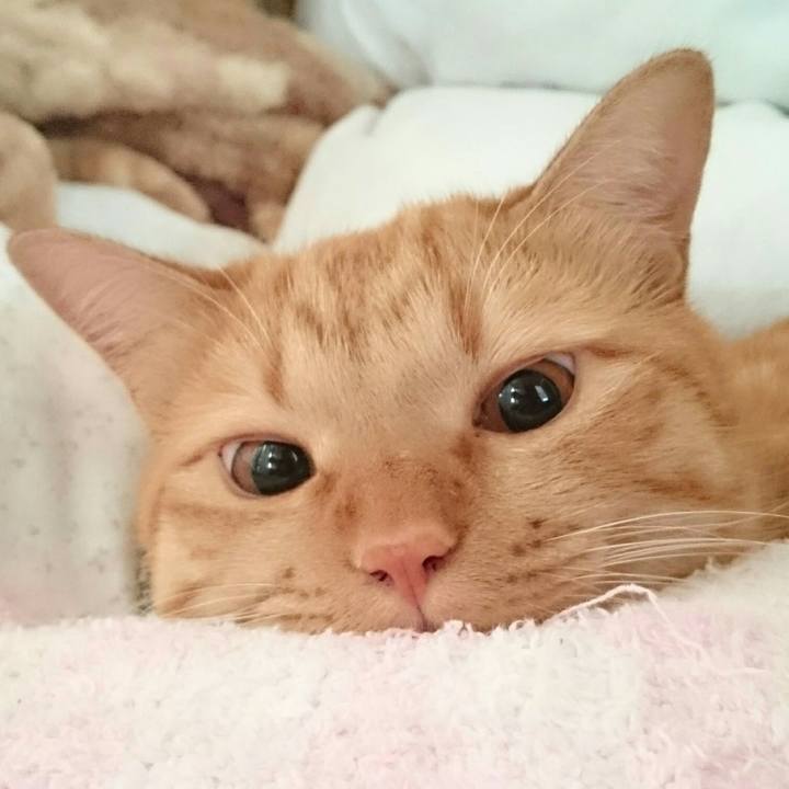 Fa510b64 99cc 40c2 8bb7 66cce90e3bb5 1570593622797