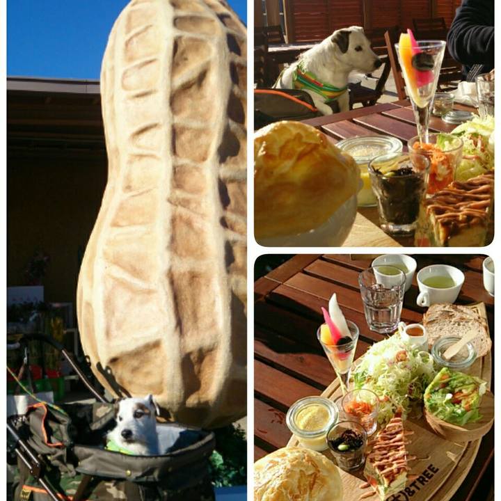 Fa514bb3 517e 49d5 87d8 0f7dea7754fd 1515971927567