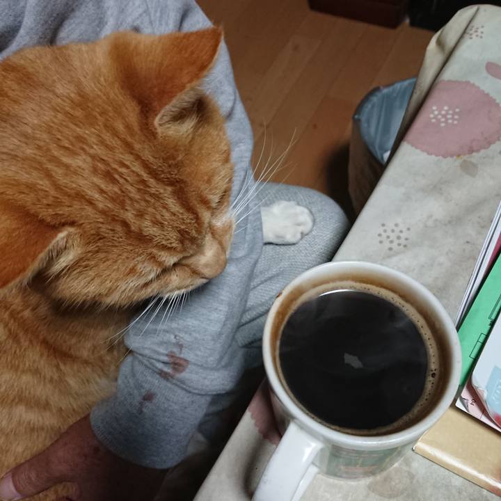 Fa515e98 13bf 4735 be5c 2ef0d557a25b 1606160340662