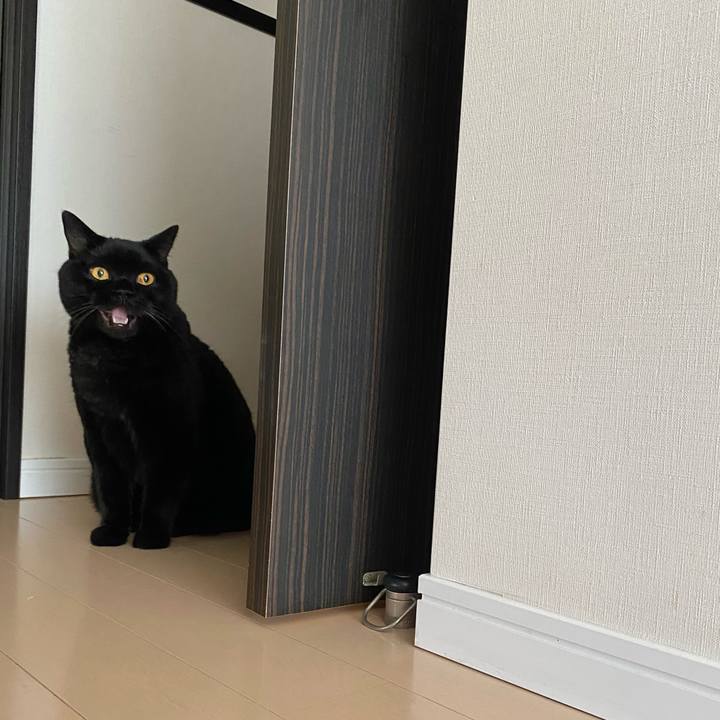 Fa518643 7be2 47ca 9f64 dd9aac1e9bec 1759273518555