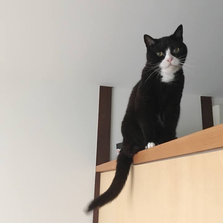 Fa5188e8 9f83 49af 8433 39d018c76837 1562890077930