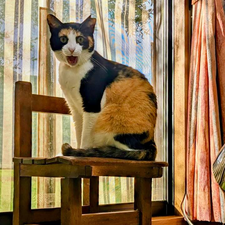 Fa518ee0 e53c 4801 8fc3 ca0d5a8459ba 1762217534238