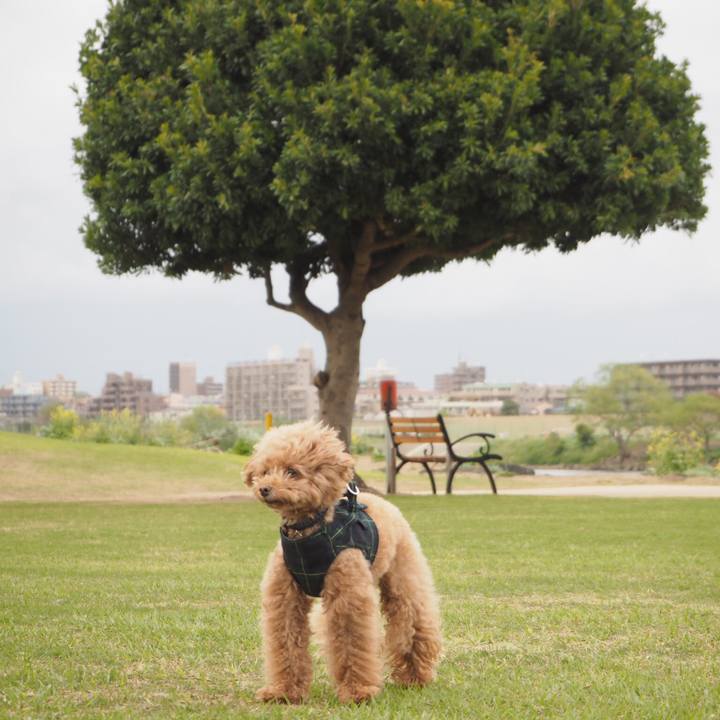 Fa51e60a 172d 4ed6 9b07 73fbac4830e3 1523094992557