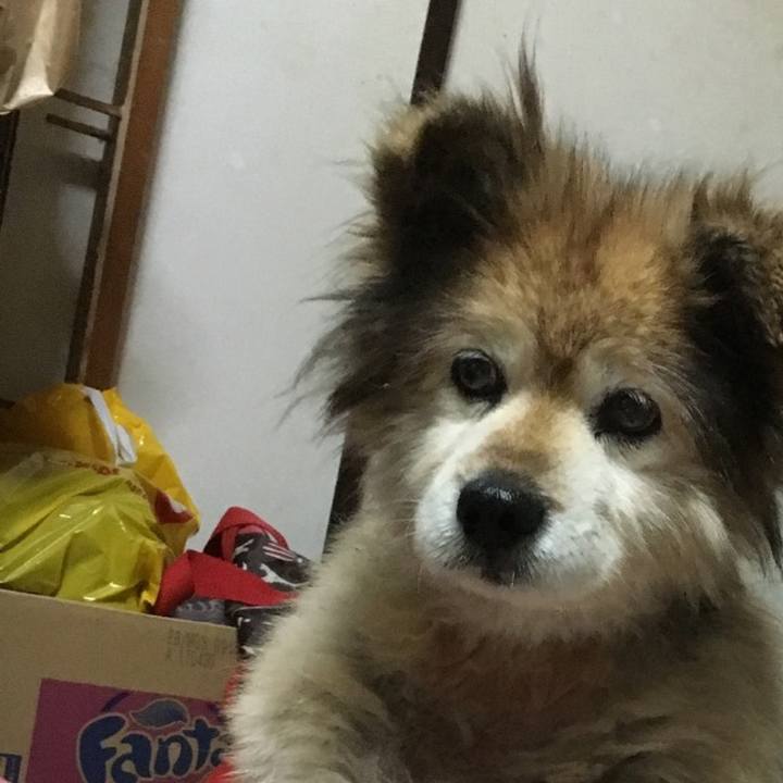 Fa51e83e 9bbd 48fd bcf6 0420f322a5c3 1600556521134