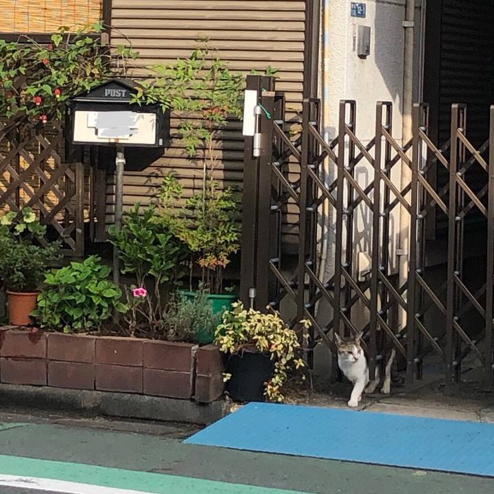 Fa526169 597b 4b8c bc44 e824c504a66c 1603572971320