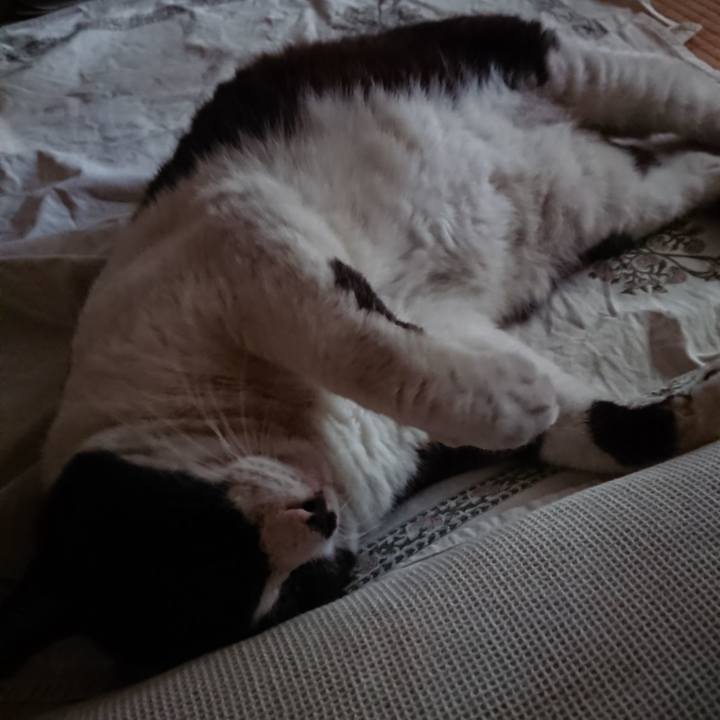 Fa5289ed 2292 48cb a028 57f722911cab 1657405991428