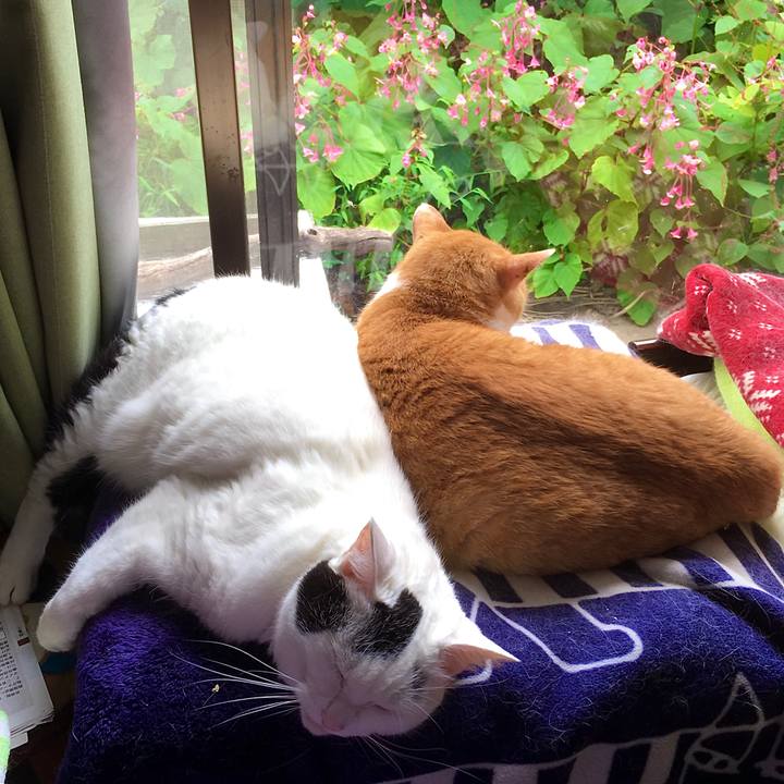 Fa528f34 385e 43b2 9de4 b44a27d97ddd 1601003159723