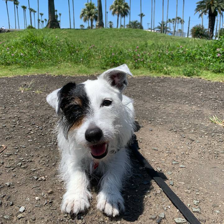 Fa52b410 657e 4912 b079 7e58abfc488f 1686965314929