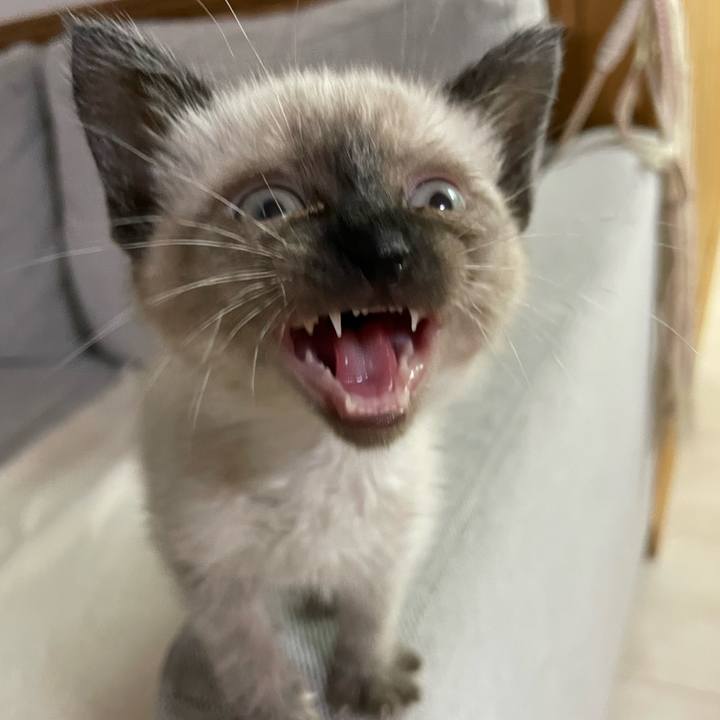 Fa52d309 b44f 4994 958f e43468189075 1687036329412