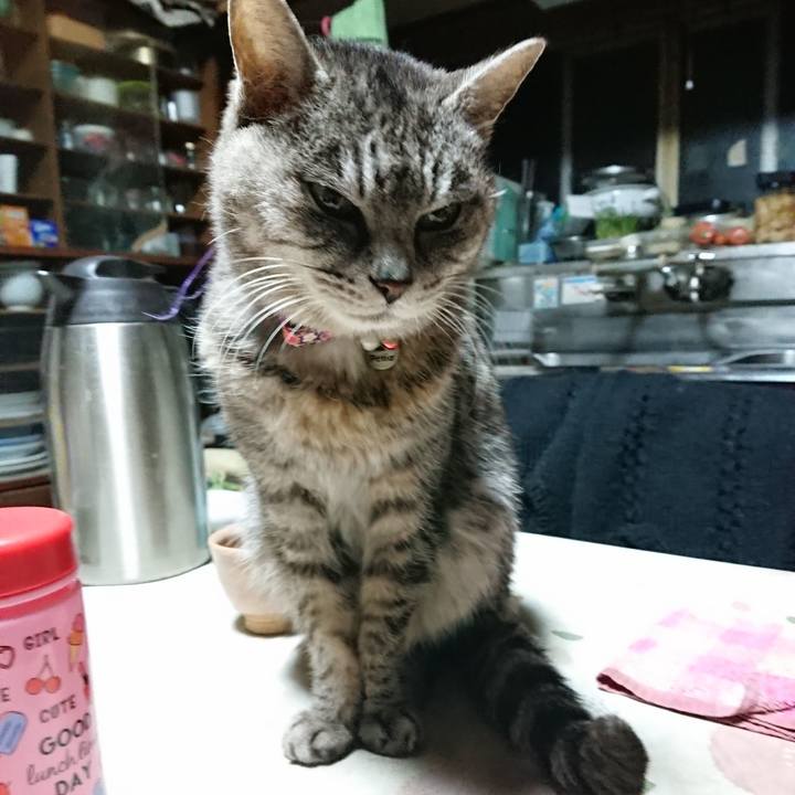 Fa52d6d5 429a 4443 8823 eb21c7f4a98c 1579377546136