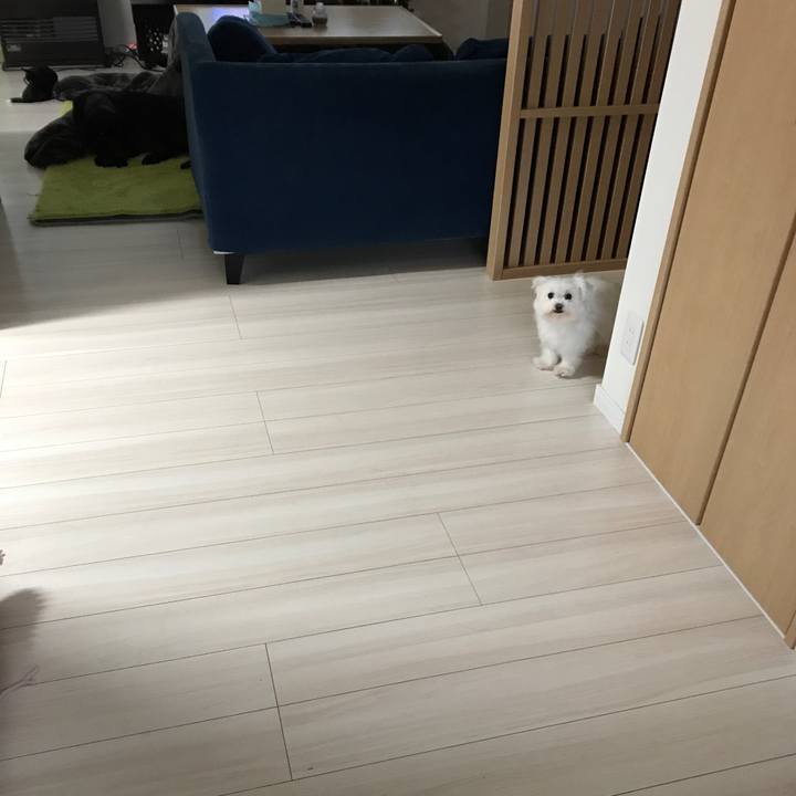 Fa533c7f e2e4 4bd7 b272 9983d76e09dd 1513680263866