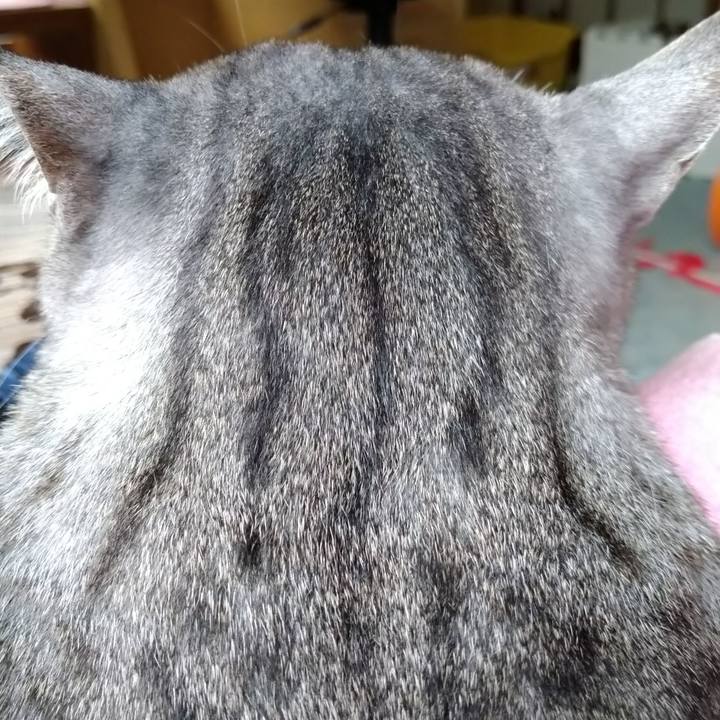 Fa535be3 7a70 41ee a134 062895857ae2 1601623365246