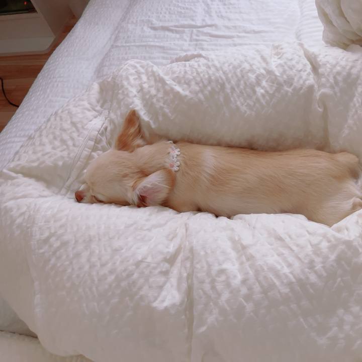 Fa536bd9 5696 49ad 8c5e 372c648901a9 1759138140649