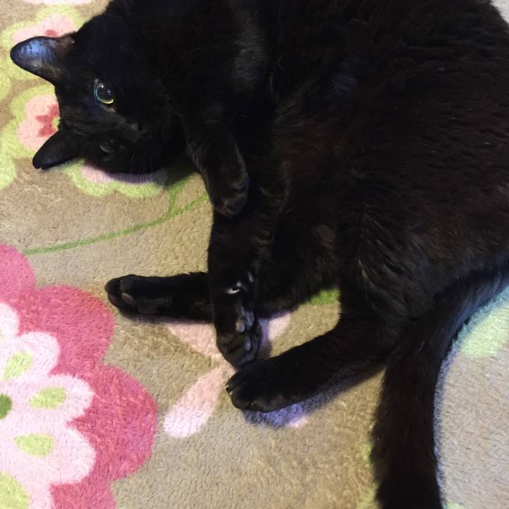 Fa5386ec aef9 414a b842 042b04dd9818 1523050855945